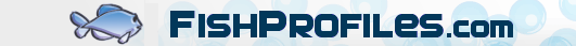 FishProfiles.com